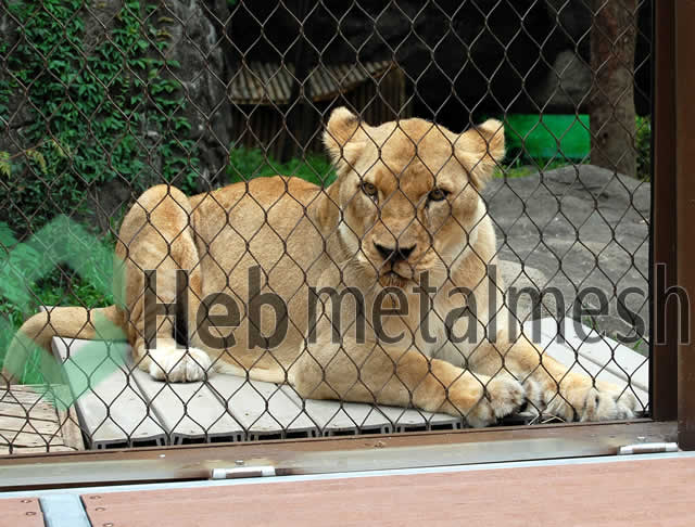 lion enclosures mesh, lion fence mesh