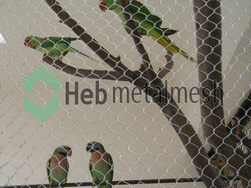 parrots enclsoure fence netting