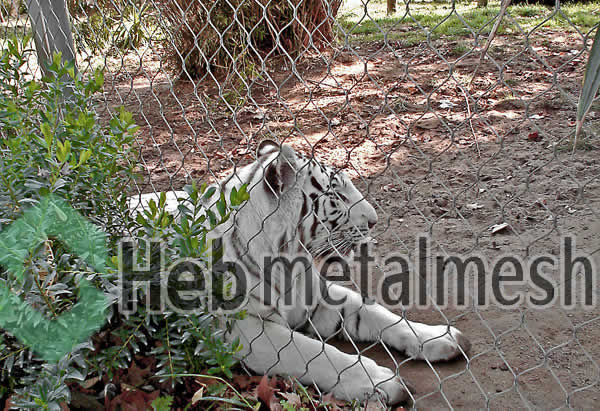 Tiger fence netting