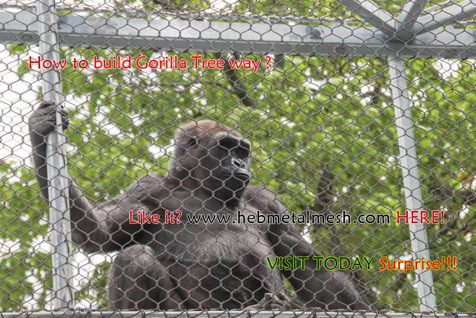 zoo mesh, gorilla enclosure, gorilla fencing