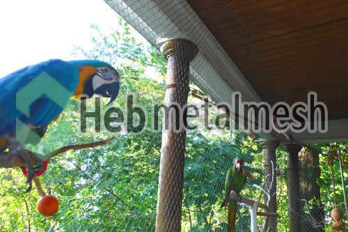 macaw exhibit mesh