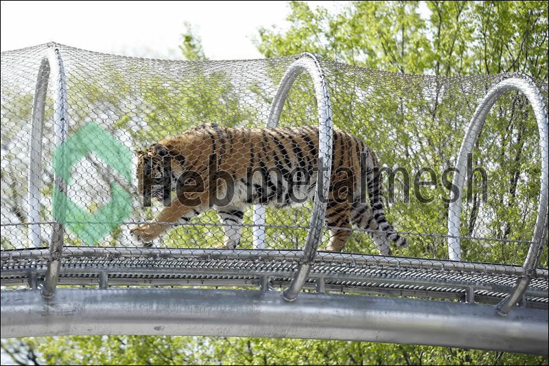 Tiger enclosure fence netting0