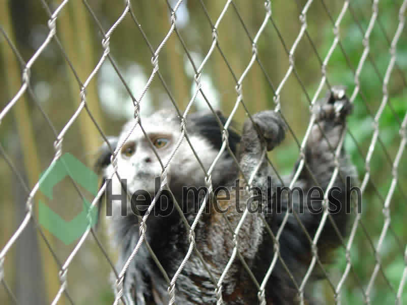 Zoo mesh, zoo netting, animal cages, animal exhibits, zoo enclosure