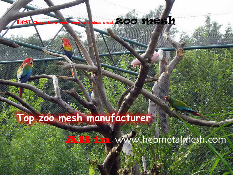 zoo mesh, aviary mesh, hand woven stainless steel netting