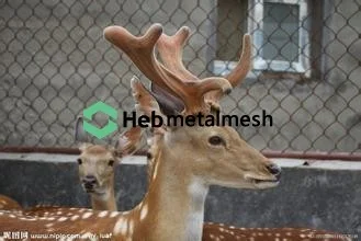 stainless steel mesh for giraffe exhibit, giraffe enclosures, giraffe cage