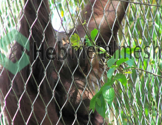 gibbon_enclosure_mesh