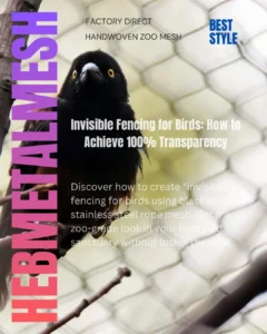 Close-up of a bird perched behind black oxide stainless steel rope mesh, demonstrating the 100% transparency and high-detail visibility of invisible bird fencing.