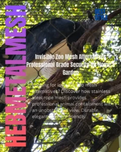 Close-up of a large bird in an aviary using invisible zoo mesh alternatives, showing the high transparency and strength of hebmetalmesh stainless steel rope mesh.