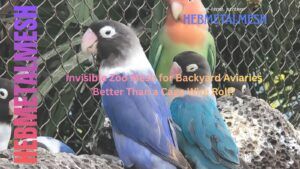 Vibrant lovebirds in a professional enclosure using invisible zoo mesh for backyard aviaries instead of a standard cage wire roll.