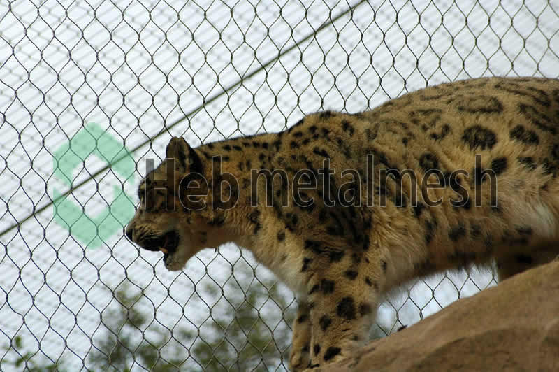leopard enclosure fence