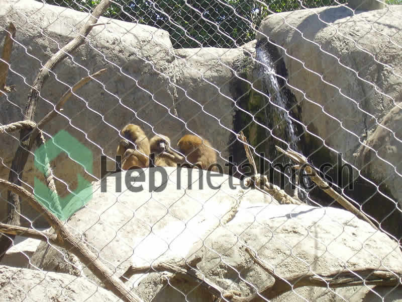 monkey fence, monkey enclosure
