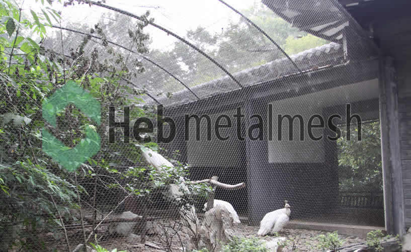 peacock enclosure mesh