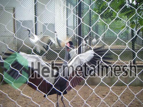 red-crowned cranes cages fencing