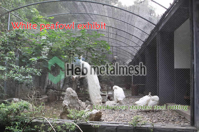 White peafowl exhibit, White peafowl cages, White peafowl enclosures