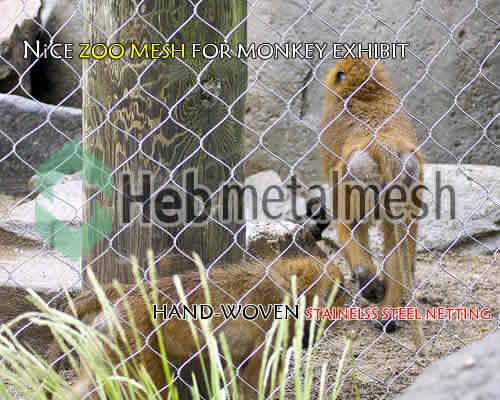 zoo mesh, monkey enclosure, monkey fence