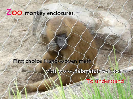 wire mesh for monkey, zoo mesh for monkey, zoo mesh, mesh for monkeys