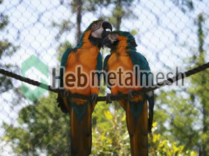 Macaw enclosures, macaw cages, macaw exhibit
