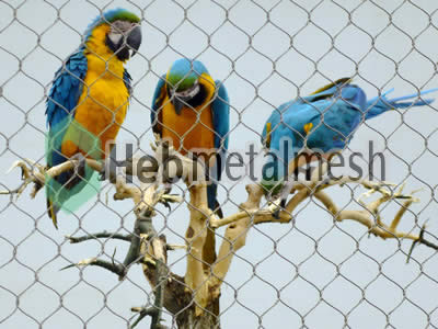 Parrots enclosures, parrots cages parrots exhibit