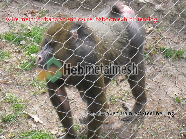 Baboon enclosure, baboon exhibit fencing, baboon barrier mesh, boboon perimeter netting
