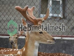 mesh for deer control mesh, deer enclousre mesh, deer cover manufacturer
