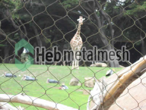 wire mesh for giraffe cage mesh, giraffe perimeter netting, giraffe roof netting supplies