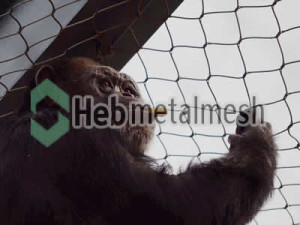 chimpanzee exhibit fence manufacturer, chimpanzee enclosure mesh, chimpanzee cage mesh