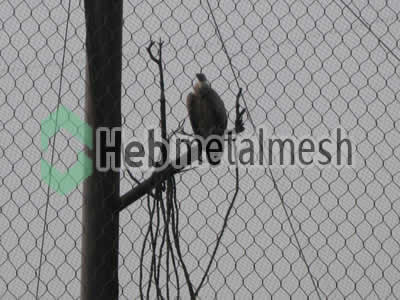 Factory supplies for eagle exhibit fencing mesh, ealge enclosures mesh