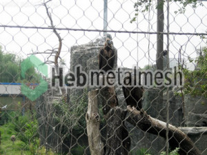 stainless steel mesh for eagle protection netting, eagle barrier mesh