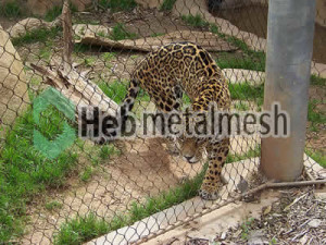 leopard cover mesh, leopard fencing, leopard safety netting for sale