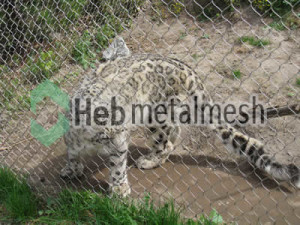 stainless steel mesh for leopard exhibit, leopard enclosures, leopard cage