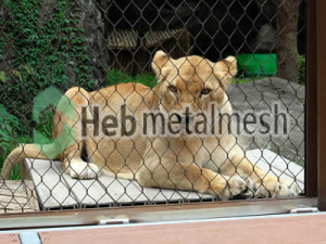 zoo enclosures for lion exhibit, lion protection netting, lion barrier netting for sale