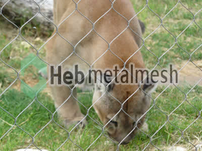stainless steel lion roof netting,lion perimeter mesh, lion fencing