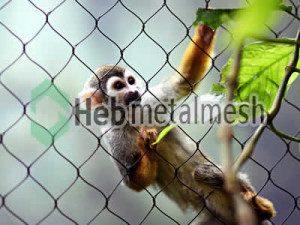 wire mesh for monkey cage mesh, monkey perimeter netting, monkey roof netting supplies