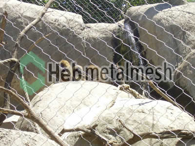 stainless steel mesh for monkey protection netting, monkey barrier mesh