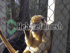 monkey protection fence, monkey enclosures netting, monkey exhibit control mesh specifications