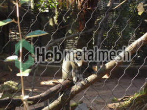 monkey exhibit fence manufactruer, monkey enclosure mesh, monkey cage mesh