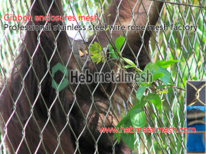 Gibbon enclosures barrier netting, gibbon cage fencing, stainless steel wire rope mesh