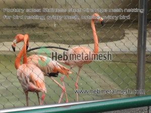 Stainless steel wire rope mesh netting for bird netting, aviary mesh, outside aviary bird