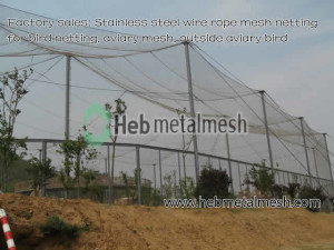 Stainless steel wire rope mesh netting for bird netting, aviary mesh, outside aviary bird