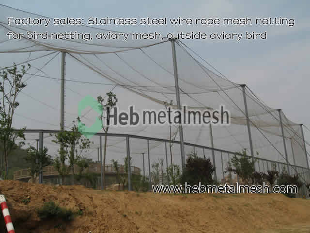 stainless steel rope mesh, animal enclosure mesh, zoo mesh, bird aviary netting