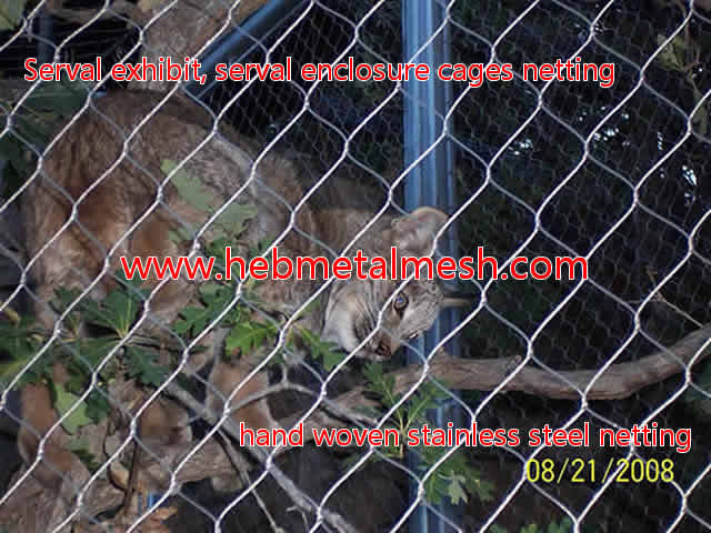 2" mesh Solution of Serval enclosure mesh, serval barrier fencing, serval exhibit mesh