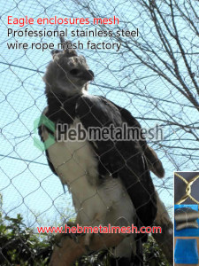 wire rope netting for eagle venues cover mesh, eagle enclosures fence, eagle exhibit safety mesh