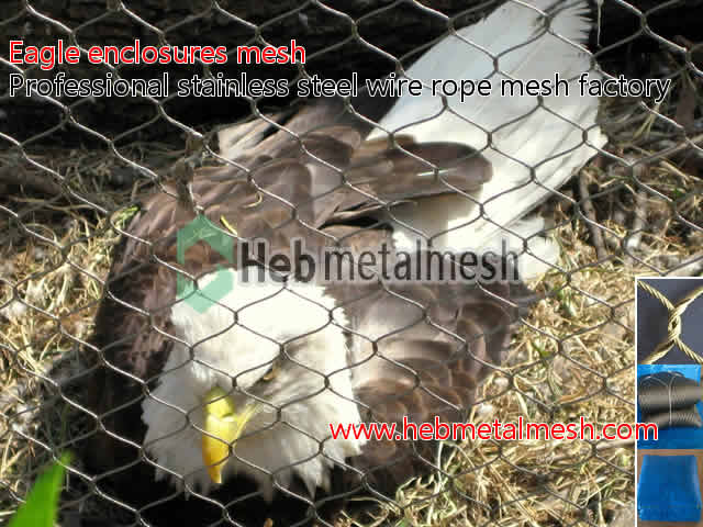 wire rope netting for eagle venues cover mesh, eagle enclosures fence, eagle exhibit safety mesh