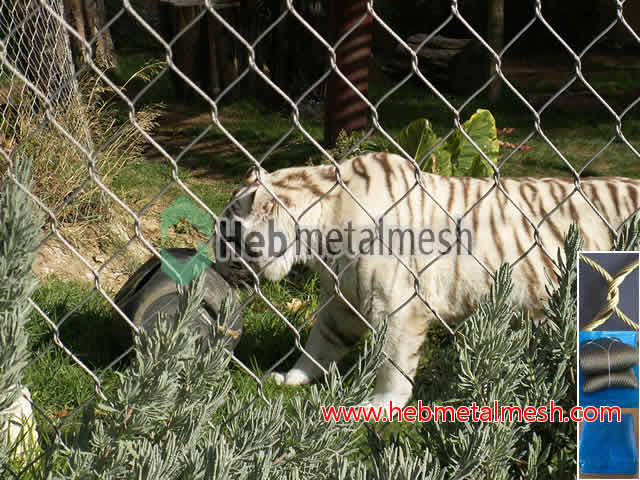 Tiger net fencing, wire mesh for tiger enclosures, tiger cage mesh panels