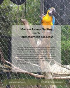 The Ultimate Guide to Macaw Aviary Netting: Enhance Your Aviary with Quality Materials