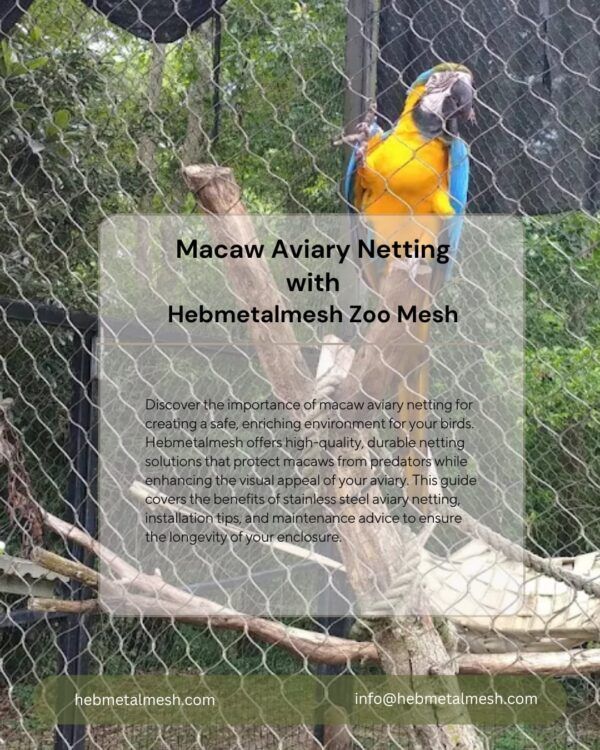 View of Macaw Aviary Netting: Choosing the Right Materials