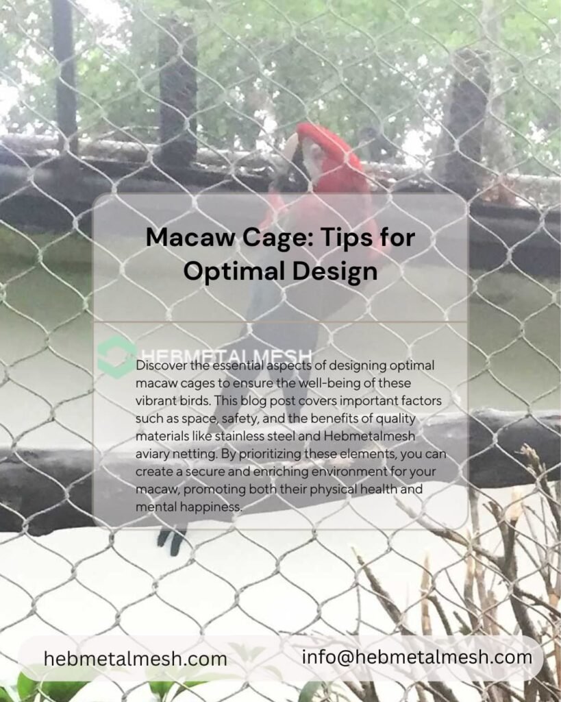 Designing the Perfect Macaw Cage: Why Choose Hebmetalmesh Aviary Netting