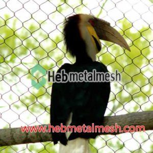 best mesh for toucan enclosure – 2” mesh