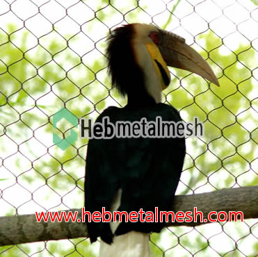best mesh for toucan enclosure – 2” mesh