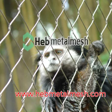 Stainless steel netting mesh in animal enclosure
